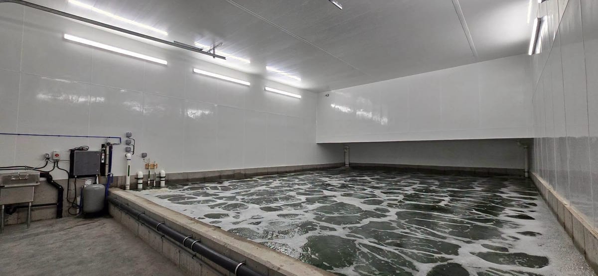 The interior of a seafood processing facility lit by washdown-rated fixtures.
