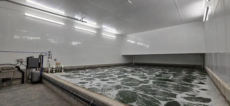 Interior of a seafood processing facility with washdown-rated lighting overhead.